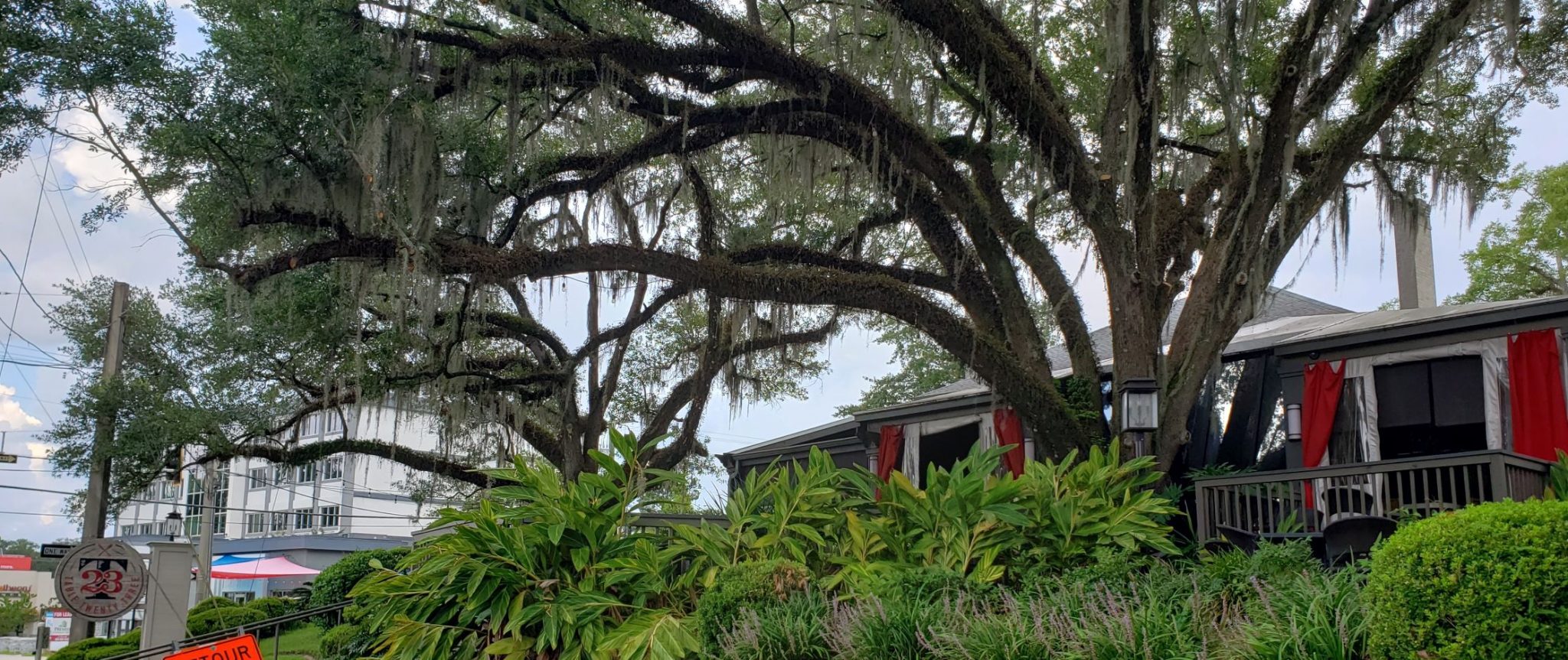 7 Things to Love About Midtown Tallahassee Living In Tallahassee