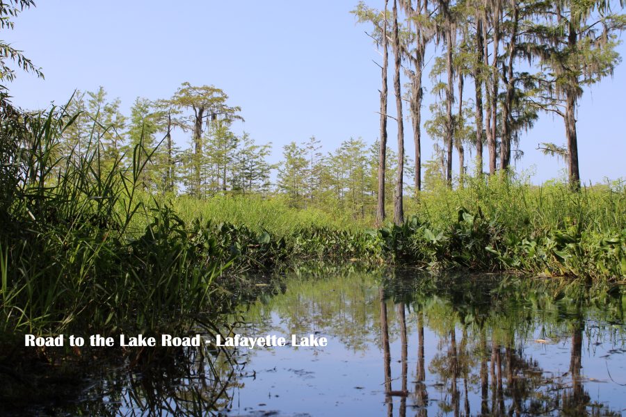 Top 5 Kayak Launches Explore Tallahassee Living In Tallahassee