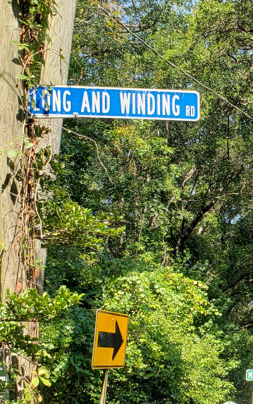 Photo is of street sign and street name. Street name is Long and Winding Road