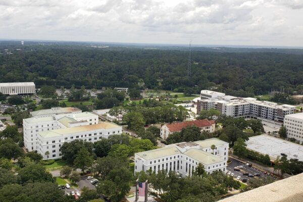 From the 22nd floor of the capitol what a green city Tallahassee is