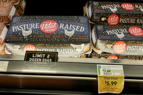 fresh market organic eggs