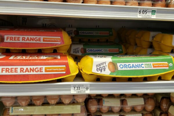 publix organic eggs